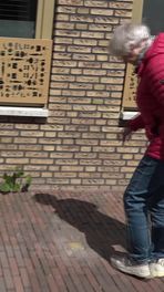 Struikelsteen Coevorden