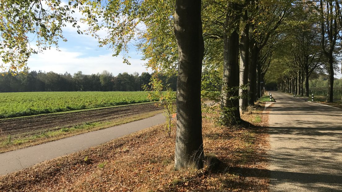 Het Gasselterveld zou volgens de gemeente een goede locatie zijn (Rechten: archief RTV Drenthe)