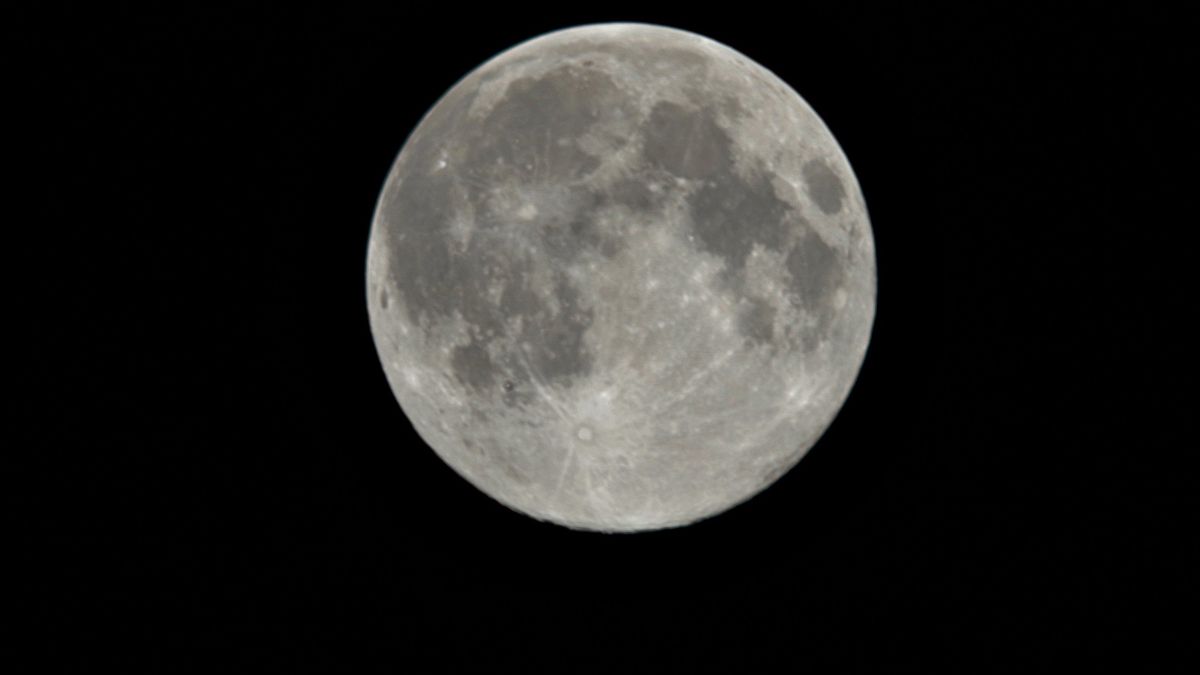 Zie de supermaan schijnt door de bomen: een maanshow die pas over zeventien jaar terugkomt