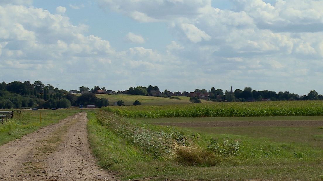 Brabantse wal