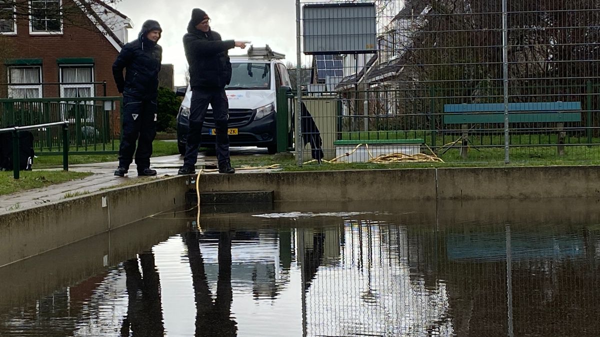 Schaatskoorts in Wolphaartsdijk: Een stel 'gestoorde vaders' bouwen speeltuin om tot ijsbaan