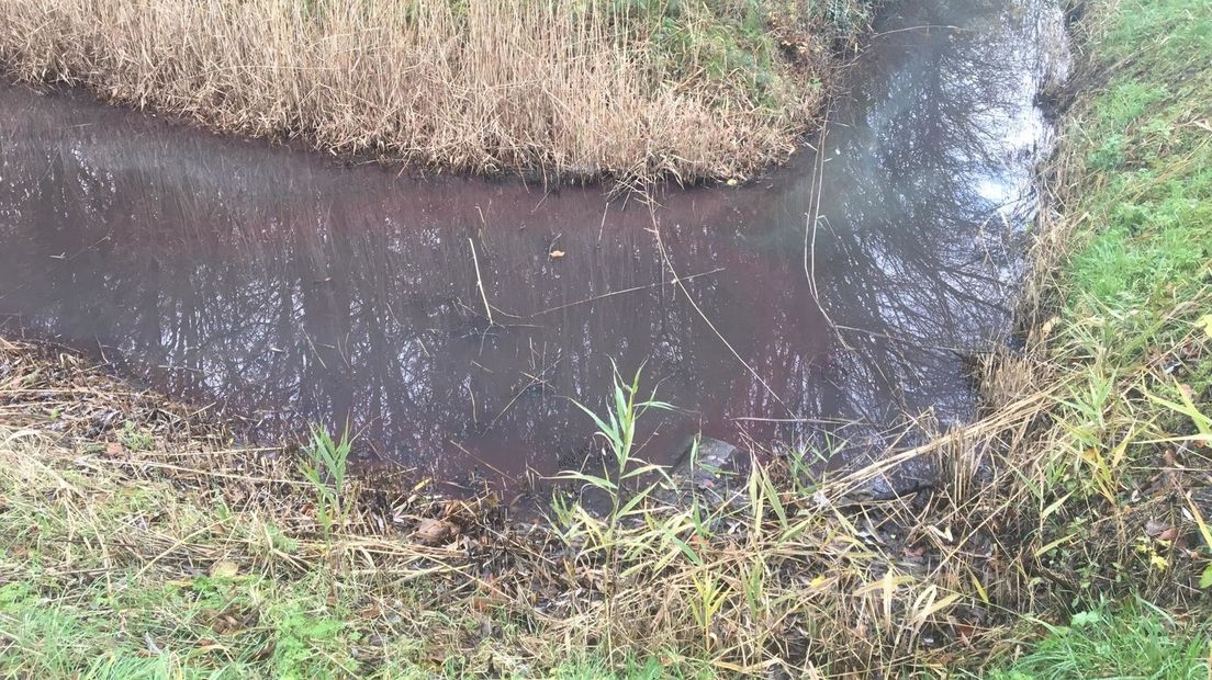 Roze kleur trekt weg in Middelburgse sloot