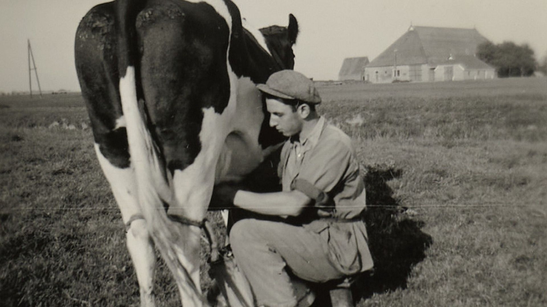 Eli Asscher oan it melken - sa. 1938