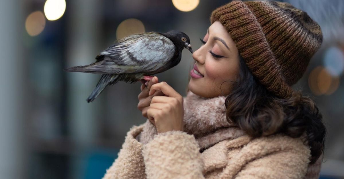 Aash knuffelt en verzorgt elke dag drie uur lang duiven met verminkte