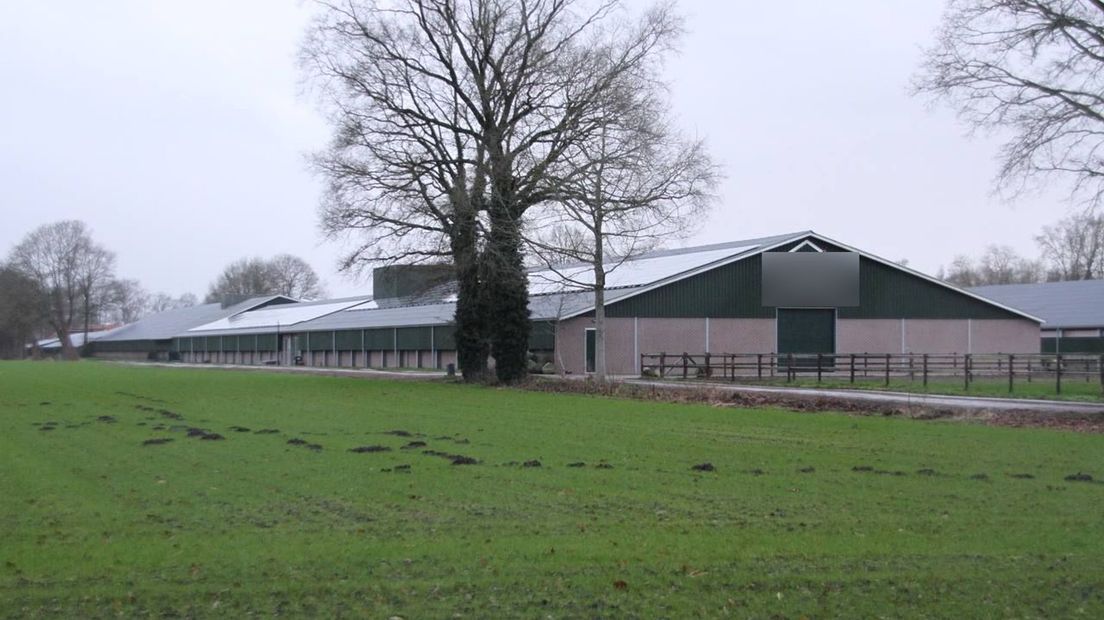 Bij de pluimveehouderij in Bentelo worden kippen geruimd na een uitbraak van vogelgriep.