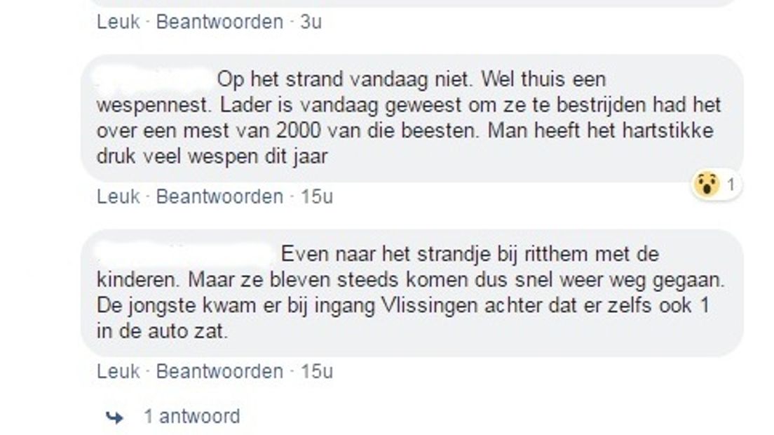 Reacties Facebook op wespenoverlast