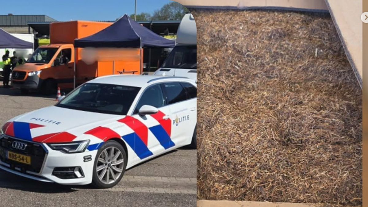 Ruim 1400 kilo illegale tabak aangetroffen bij controle in Elsloo: naheffing van meer dan miljoen