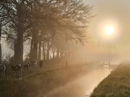 Code geel in Drenthe vanwege mist voorbij
