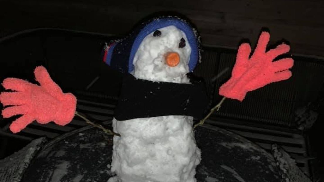 Een sneeuwpop in Zwolle van Songul Bel