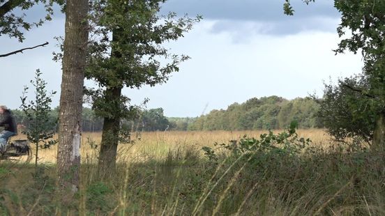 Natuurmonumenten wil oplossing voor evenementen op zondag