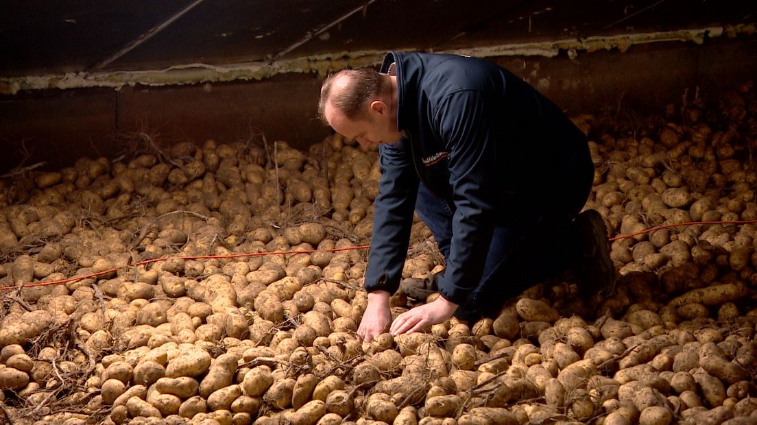 Hendrik Jan ten Cate uit Poortvliet heeft nu 1500 ton aardappels op twee locaties liggen.