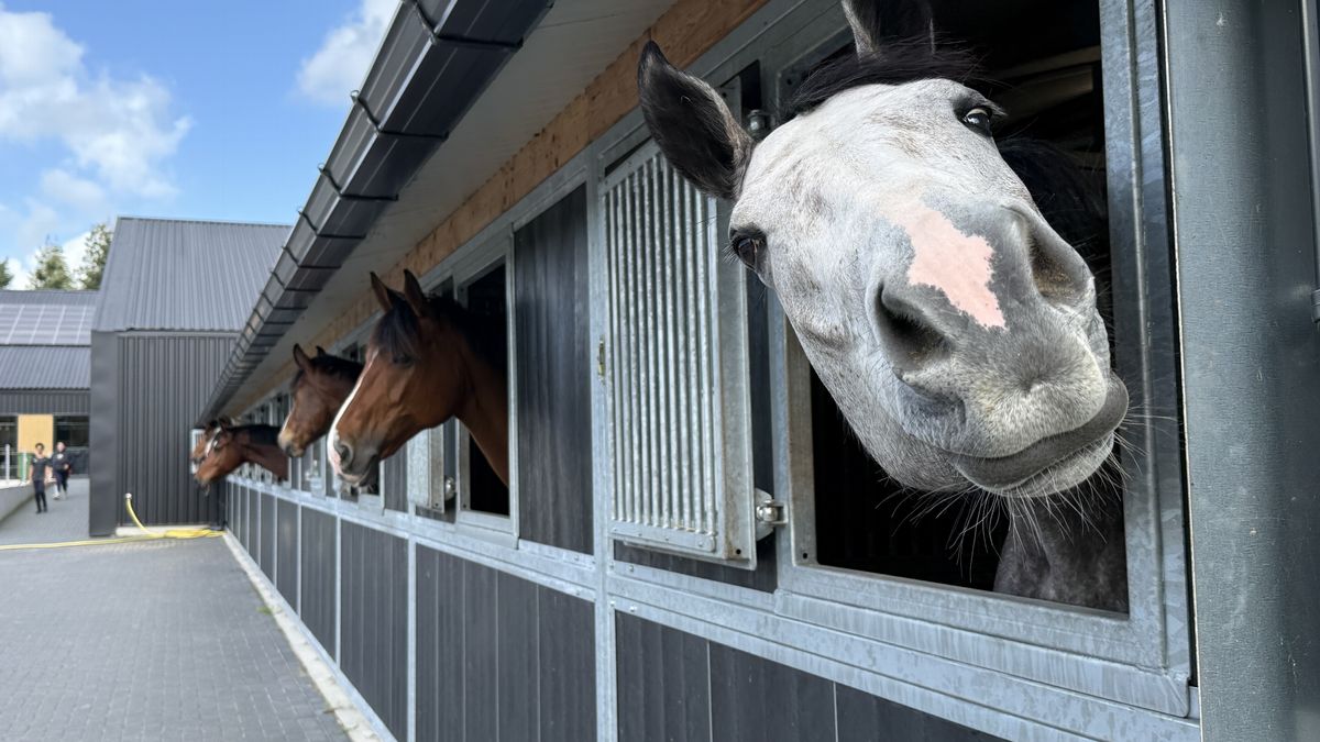 Paardensportcentrum Roden officieel open en nu al populairder dan verwacht