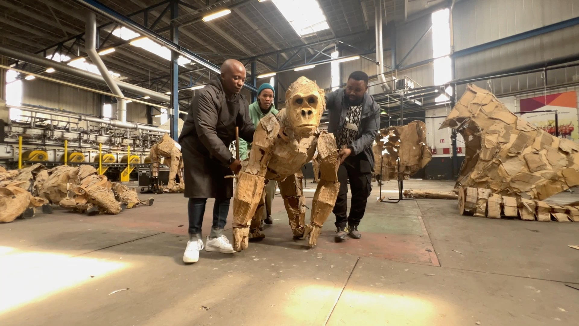 Zie je komend weekend in Rotterdam een gorilla? Het kan zomaar!