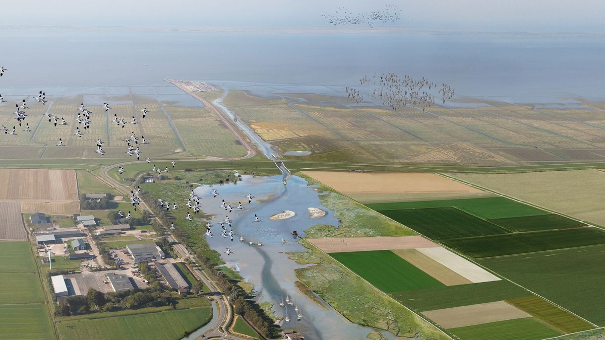 Opnieuw klap voor Holwerd aan Zee: rekenkamer komt met kritisch rapport