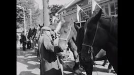 Beusichem, het dorp dat meer dan 500 jaar zot is van paarden