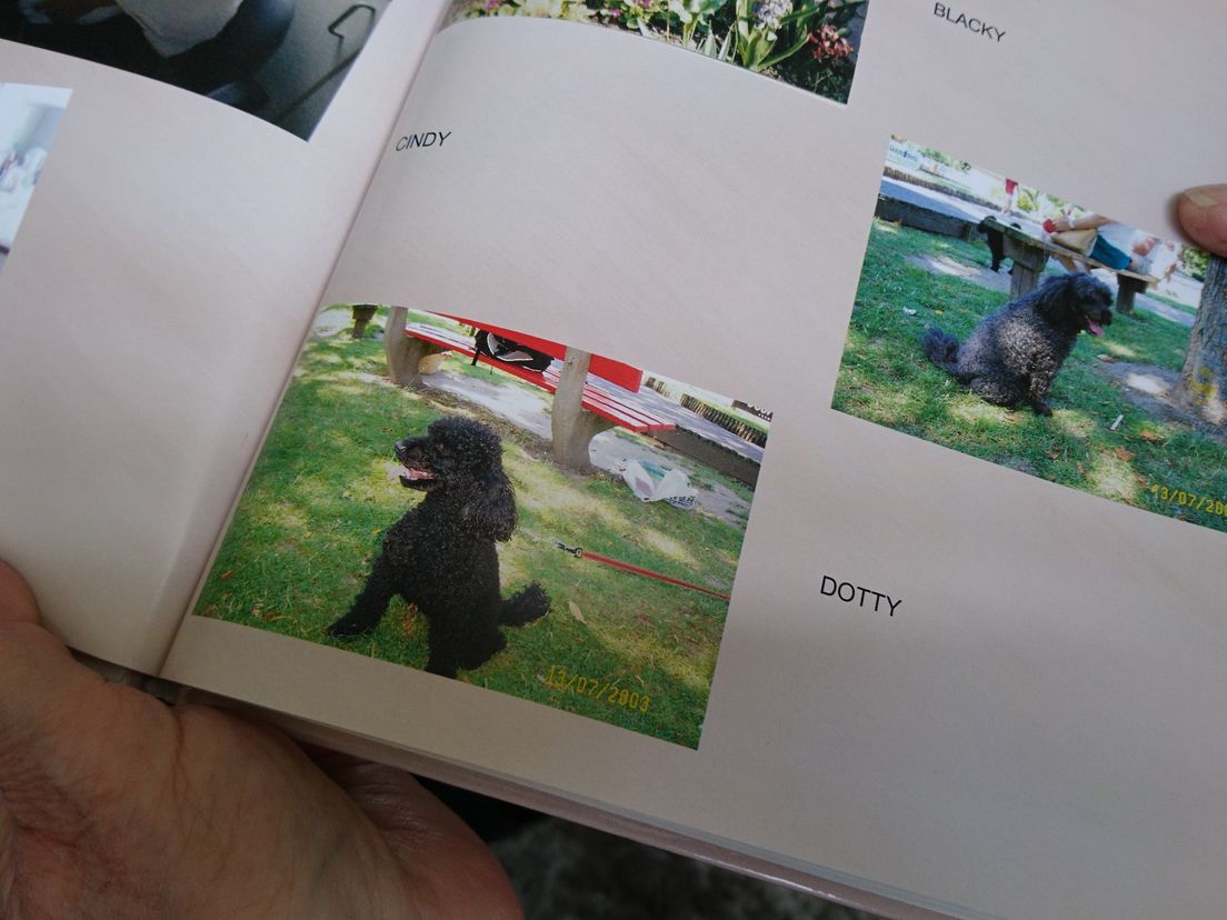 Dotty in een oud fotoalbum