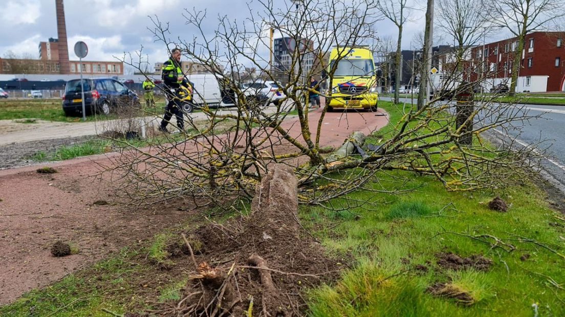 De automobilist botste tegen een boom langs de Zuiderval