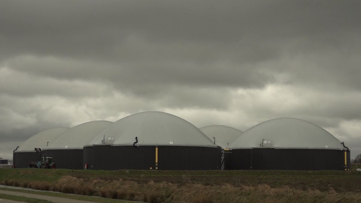 Geen biovergister in Bathsepolder bij Rilland