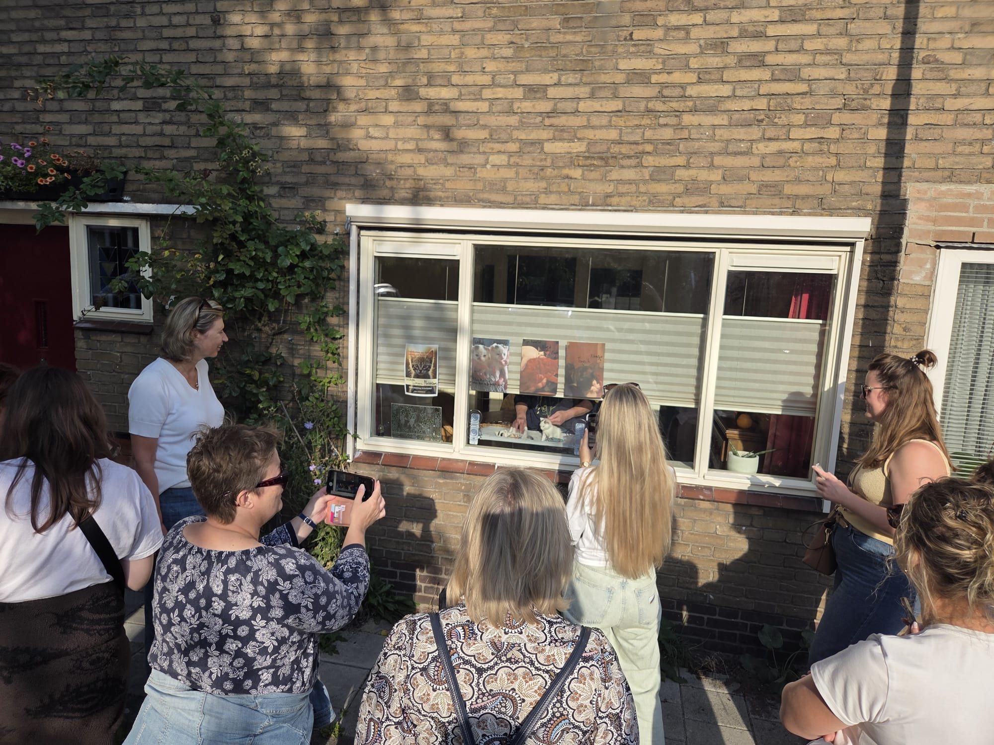 De eerste kattentour in Middelburg