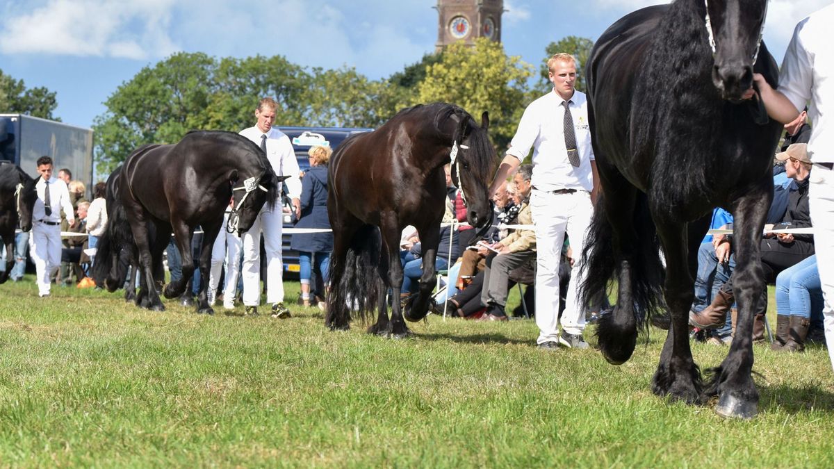 Fokdag viert jubileum in Harich en begint vanwege de warmte eerder
