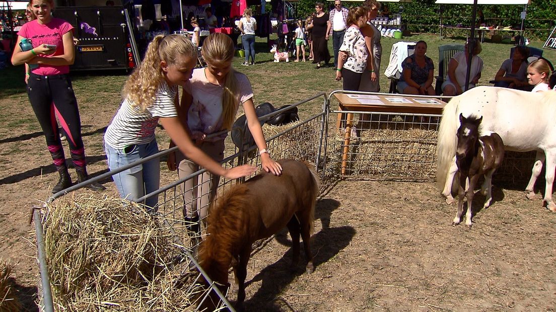 Aan paardenliefhebbers geen gebrek in Waarde