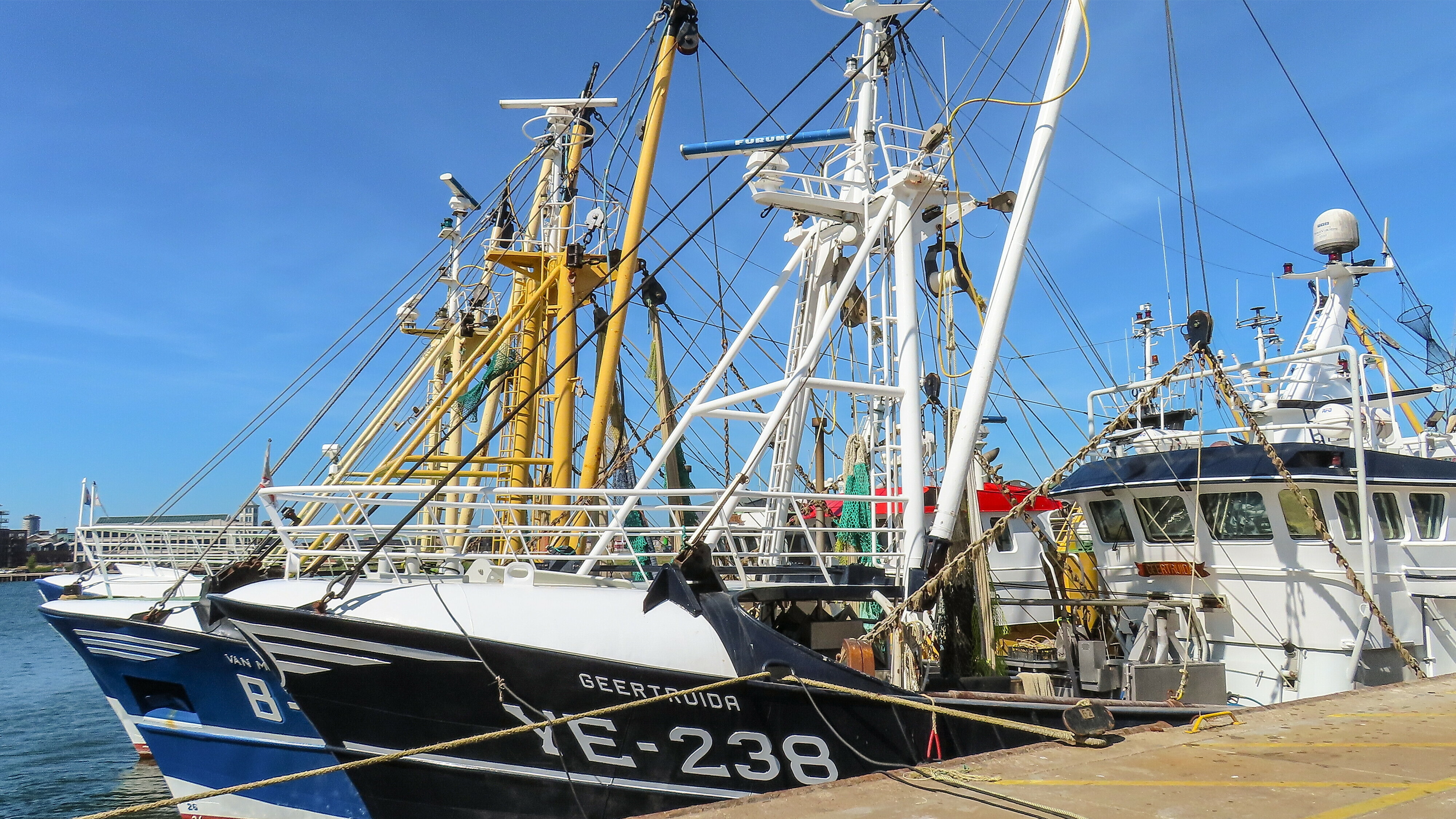 Provinciale Staten willen meer steun vanuit Den Haag om visserijsector te helpen