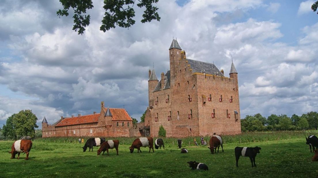 Kasteel Doornenburg - foto Michel van der Vegt via Pixabay