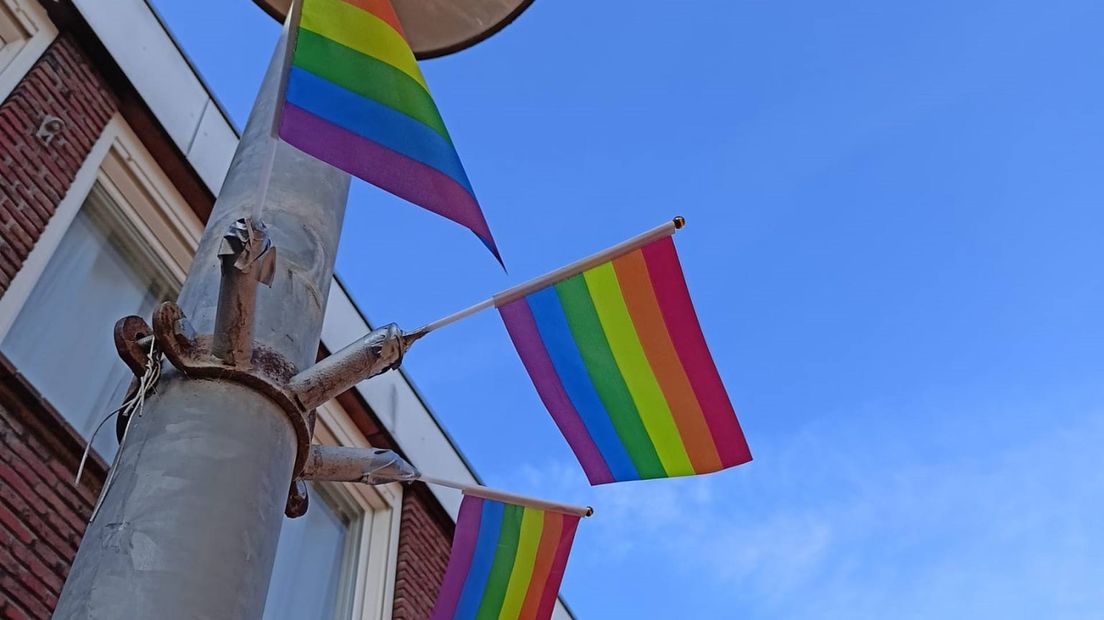 Enkele van de regenboogvlaggen die werden ontvreemd