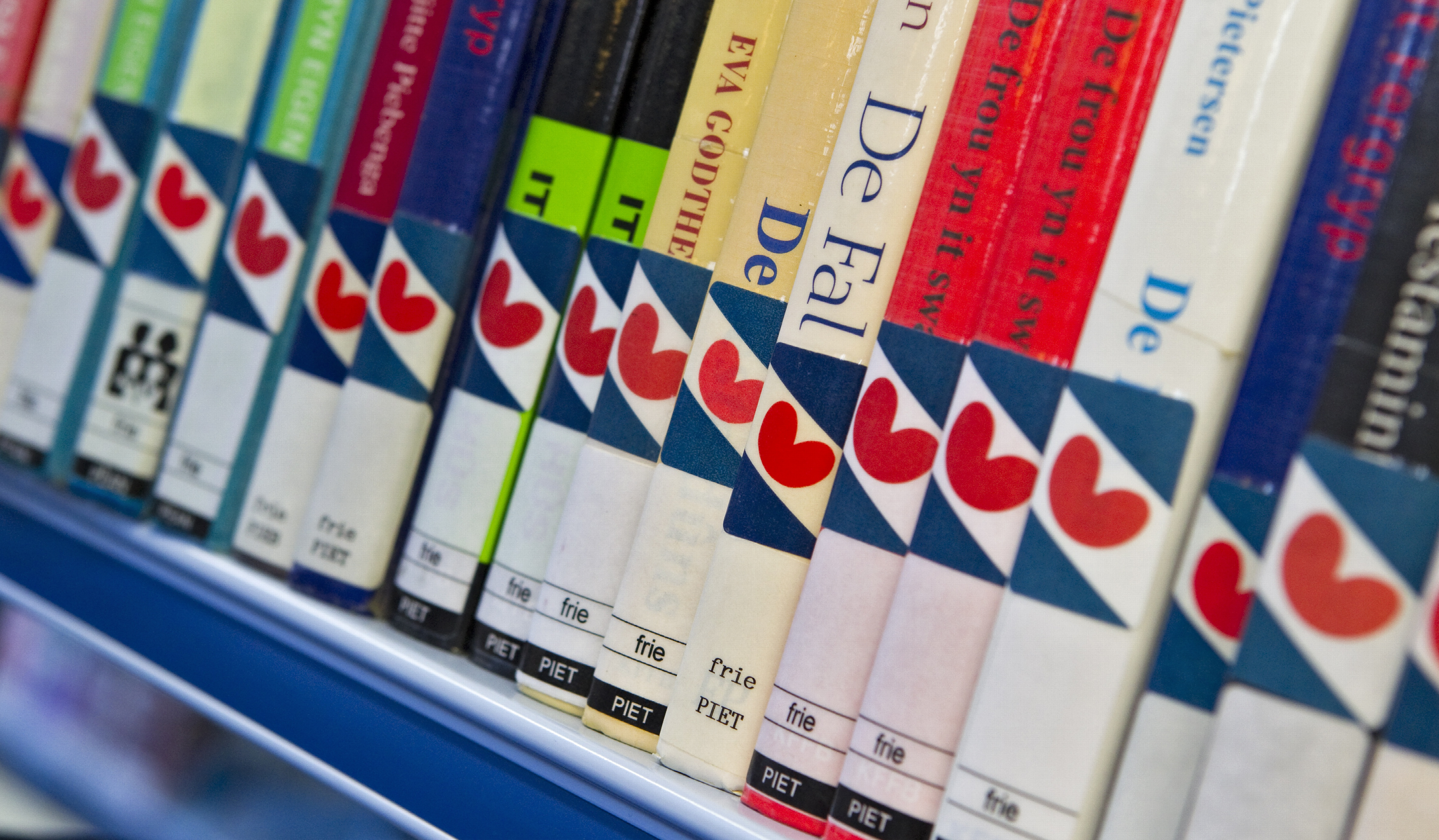 Friese boeken