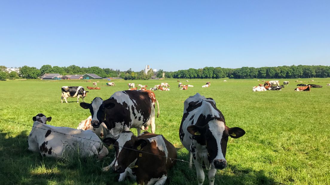 WAPENVELD – Iedere zondagochtend tussen 7.00 en 10.00 uur struint verslaggever Laurens Tijink door de Gelderse natuur. Deze week ontdekt Laurens het Kloosterpad in Wapenveld, samen met natuurliefhebber Jan Nitrauw.