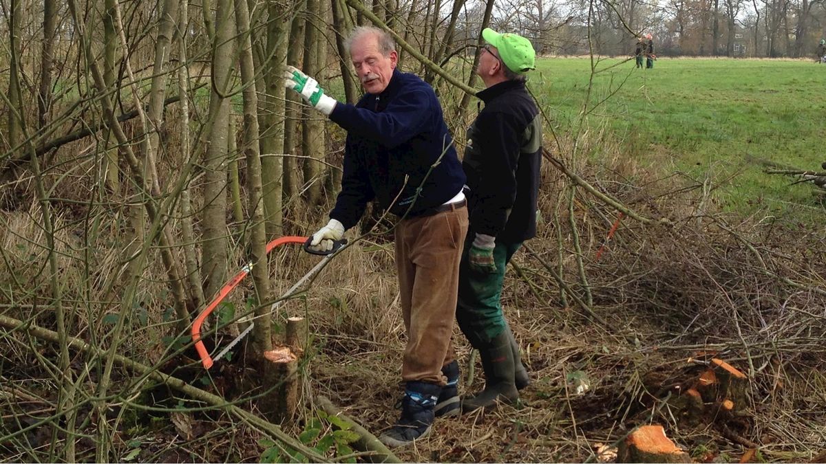 Landschap Overijssel geeft vlinderveld in Beerze nieuwe kans