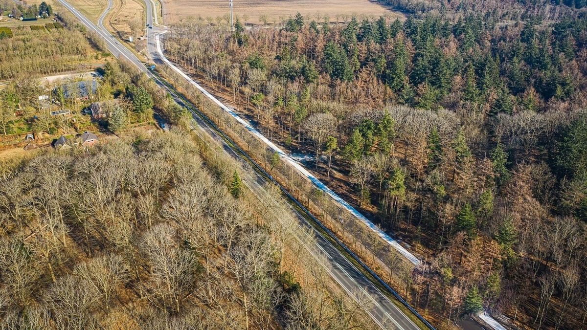 N34 aanstaande zaterdag gesloten vanwege 'onveilige bomen'