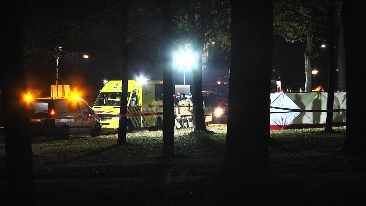 Dode (22) bij botsing tegen boom in Nieuw-Weerdinge