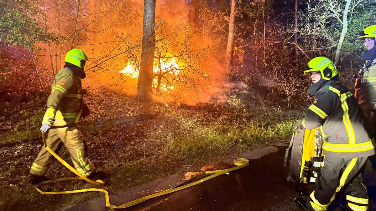 Bosbrand in Nunspeet • auto schept voetganger