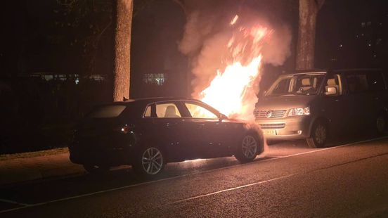 Auto's verloren bij brand • schoorsteenbrand