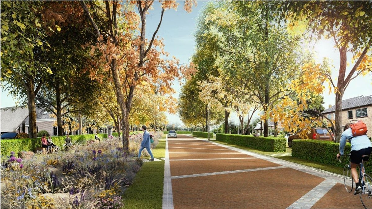 Zo gaat Rogat eruitzien na grote renovatie: 'Supermooi'