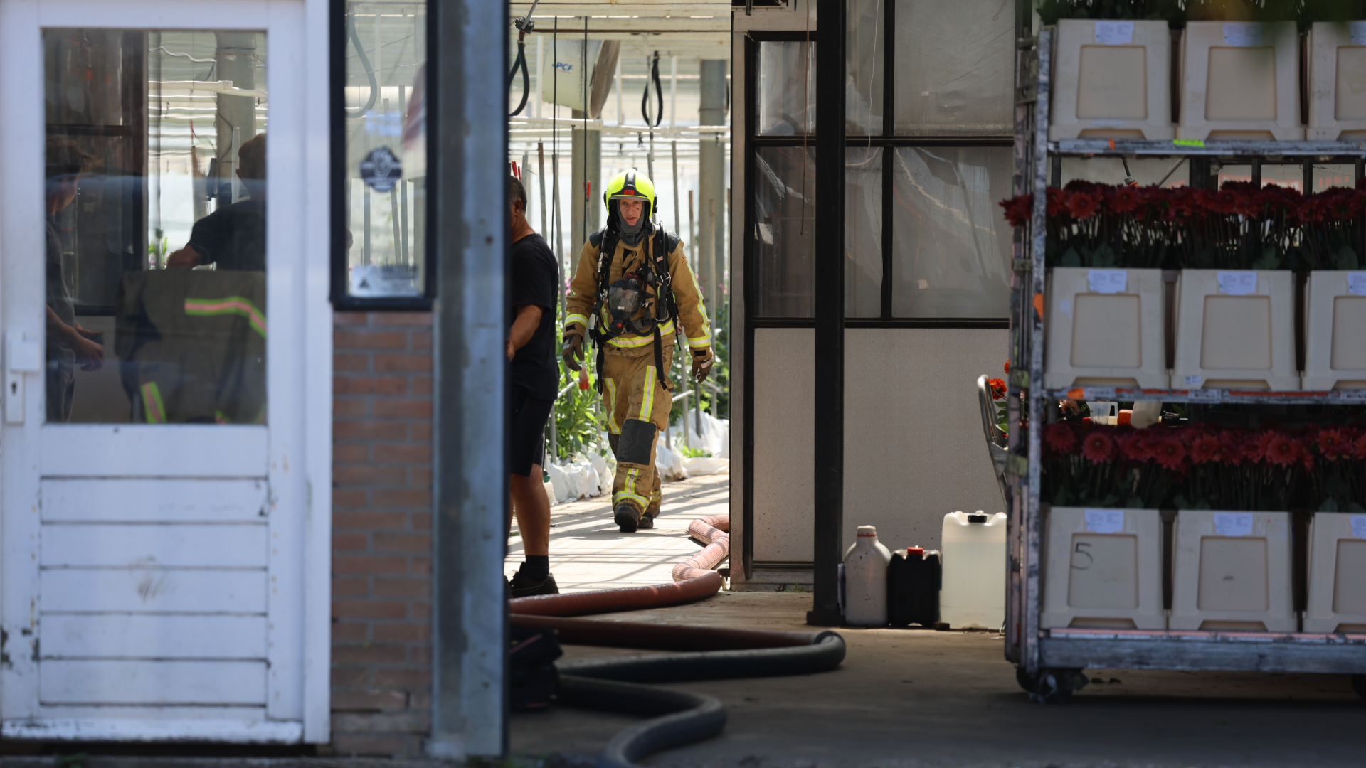 Brandweeerlieden bestrijden de brand in een kas vol dahlia's