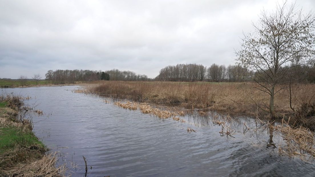 Waterwingebied Duunsche Landen