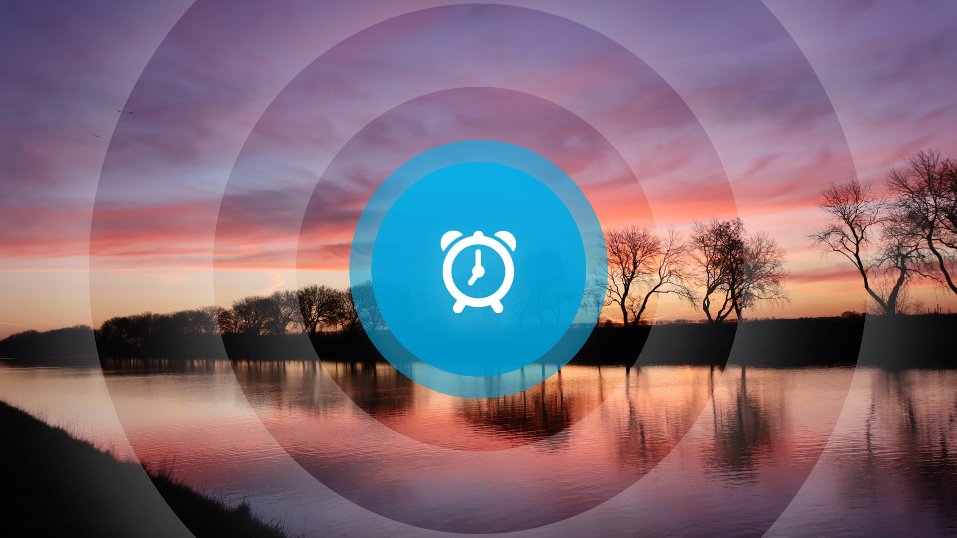 Goedemorgen! Vlaketunnel, hoge kosten dierenarts en Marathon van Zeeuws-Vlaanderen