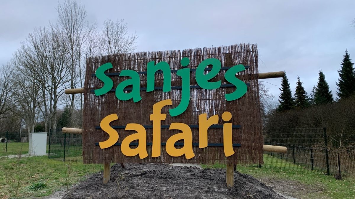 Sanjes Safari begint actie: adopteer een dier - Omrop Fryslân