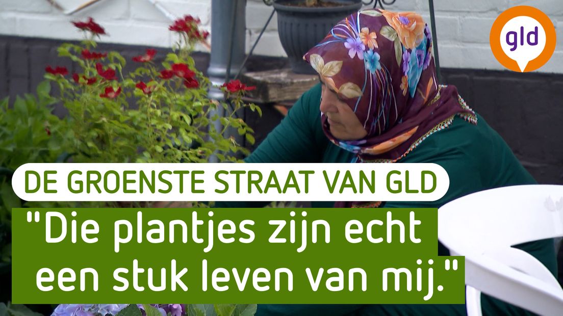 De Groenste Straat van Gelderland - Arnhem