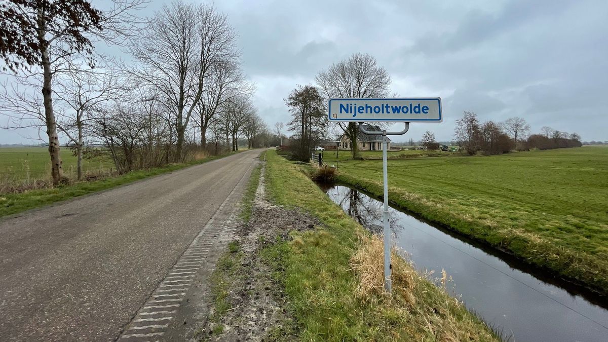 Weststellingwerf hoopt dat weidevogels gaswinning Nijeholtwolde kunnen tegenhouden