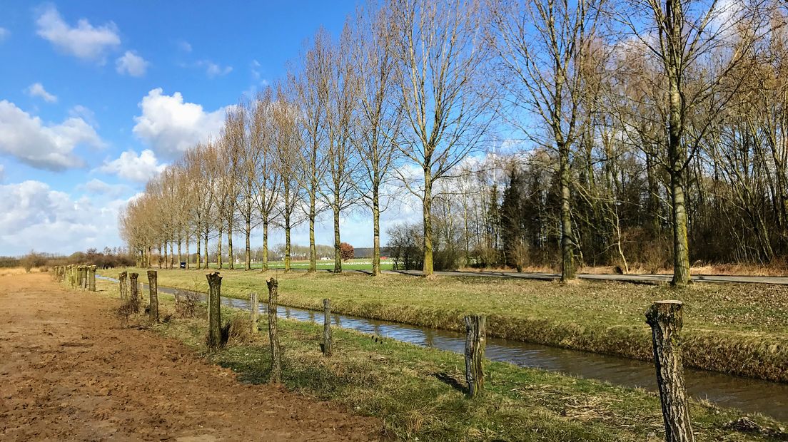 Iedere zondagochtend tussen 7.00 en 10.00 uur struint verslaggever Laurens Tijink door de Gelderse natuur. Zondag gaat Laurens op pad met hobbyfotograaf Evie Koolenbrander. Evie neemt Laurens mee naar de plek waar zij haar perfecte plaatjes schiet: het Azewijnse Broek.