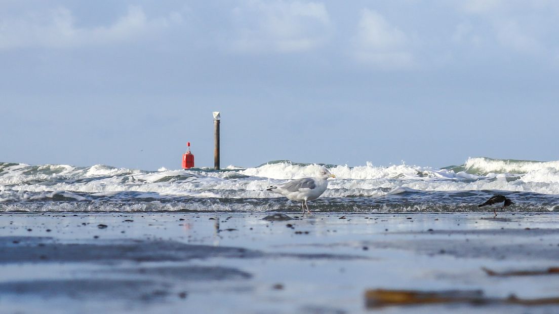 Onder andere op het strand van Westkapelle is eerder olie gevonden