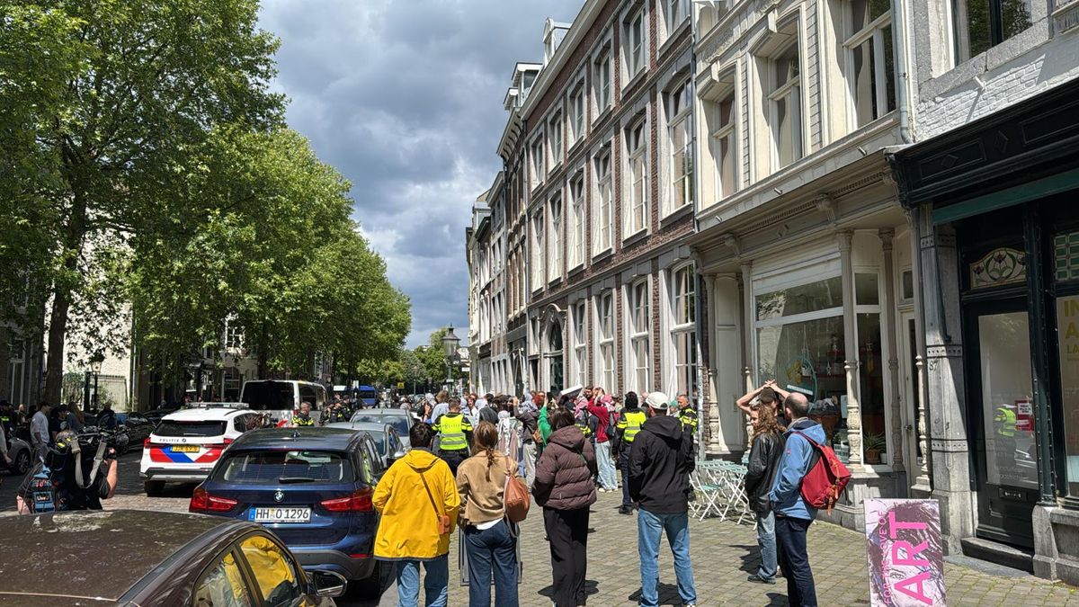 Politie houdt demonstranten stille tocht Palestina en Nationaal Protest uit elkaar