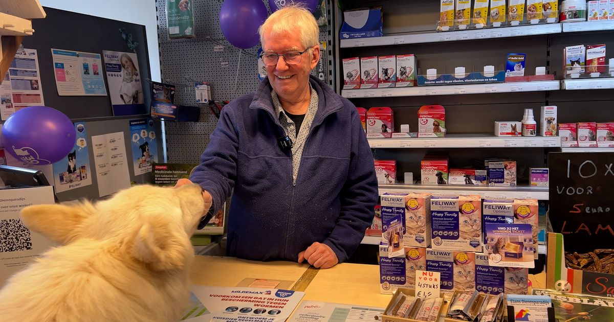 Veel verontwaardiging na beelden van man die hond Buddy wil meenemen