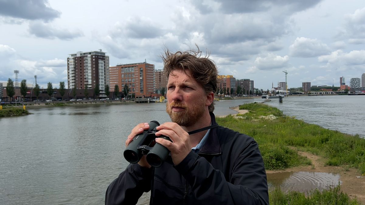 Van blubber tot biodiversiteit: waarom Rotterdam een nieuw getijdenpark krijgt