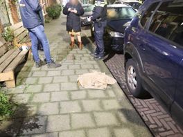 Kat doodgebeten door hond in Valkenboskwartier