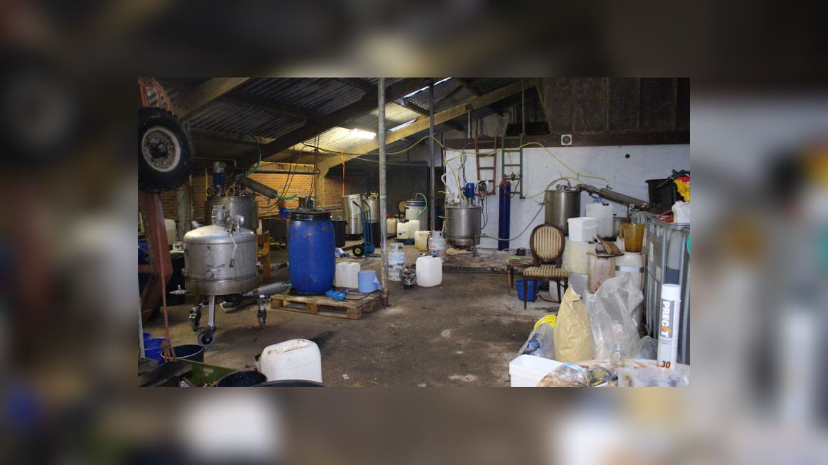 Honderd dode lammeren en schapen bij boerderij in Oldelamer