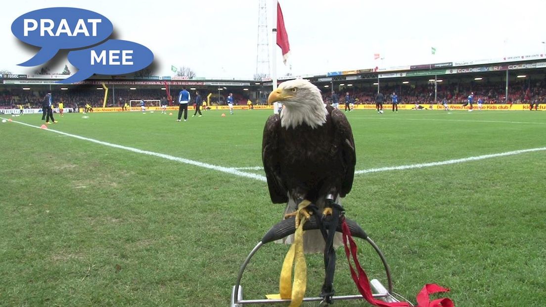 Praat mee: Ik snap best dat Go Ahead Eagles niet in Turkije wil trainen